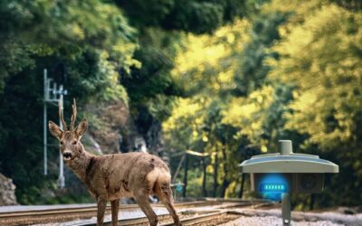 ElanRail, pionnier de la prévention des collisions train-faune en France, se lance à la conquête du marché ferroviaire européen