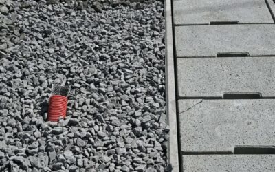 Modernisation de l’Axe 3 : Infrabel Allie Performance Ferroviaire et Préservation de la Biodiversité