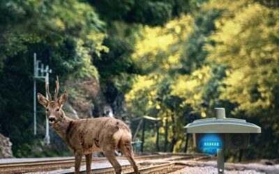 InnoTrans 2026 : ElanRail veut faire de Blue Sentinel nouveau standard européen de la prévention des collisions train-faune